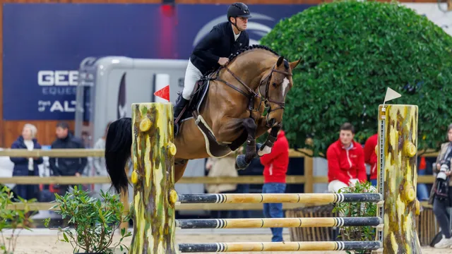 Guy Janssens en Energy Guy Z tijdens de hengstencompetitie in Lier