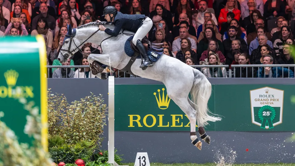 Top drie klassering voor Picobello van 't Roosakker