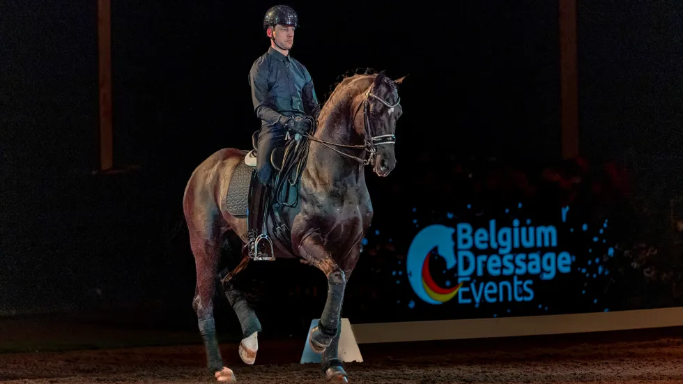 Een betoverende avond in Lier!