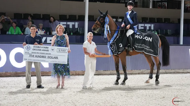 High Star Hero bewijst naam eer aan in Grote Prijs van Wellington