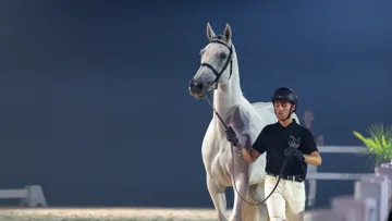 Une collection d’élite et un nouveau format de présentation pour une édition 2026 inédite de la Normandy Queens Auction.