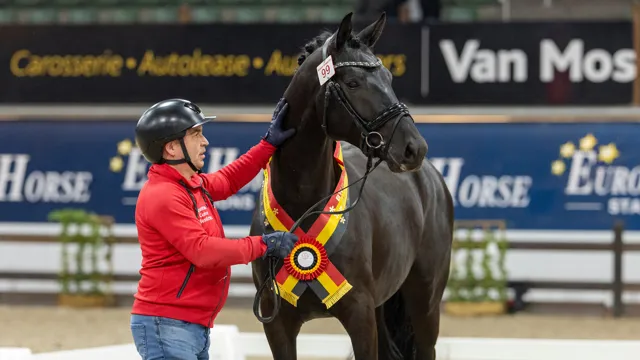 Avici E.C.H. triomfeert als kampioen bij de dressuurhengsten