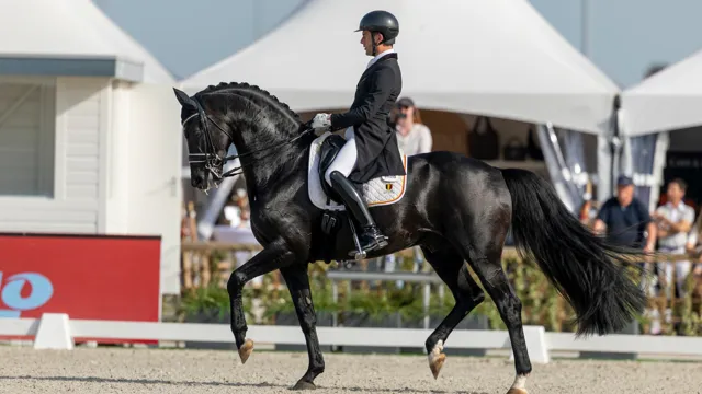 Verboomen blijft nummer één op FEI-ranking