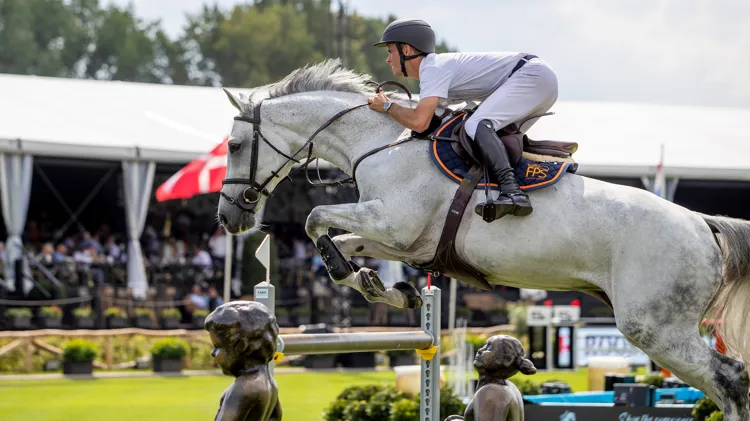 Lady van de Haarterhoeve