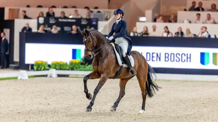 Alexa Fairchild vertegenwoordigt België