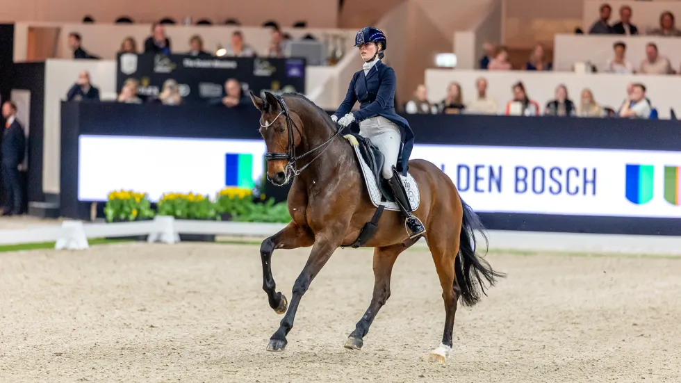 Alexa Fairchild vertegenwoordigt België