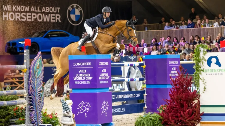 Deuxième l'an dernier lors de ce même Grand Prix, l'actuel numéro cinq mondial a cette fois ravi le public sur Qalista DN.