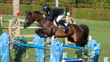 Sergio Álvarez Moya aux commandes de Quadrado, vainqueur du Grand Prix du CSI 4* de Valkenswaard.