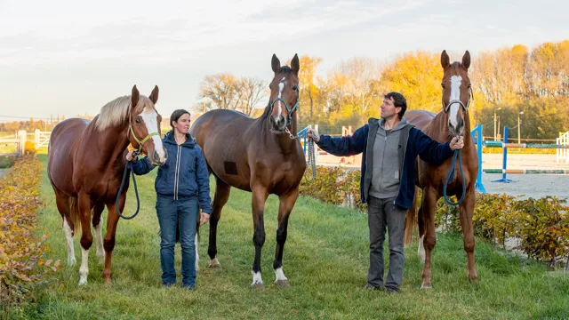 Tom en Ines De Craene zagen opnieuw een 'Van den Bisschop' fokproduct schitteren