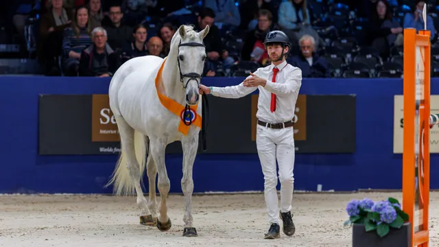 Untouchable M ongenaakbaar in ranking van vaderhengsten van jonge springpaarden