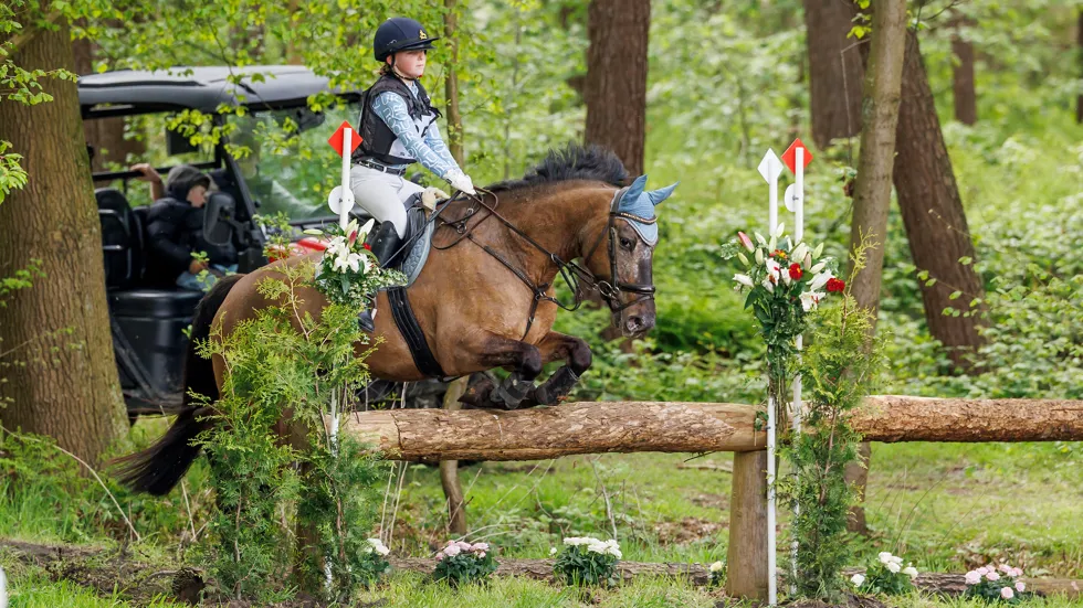 Zilver voor Noort De Raedt