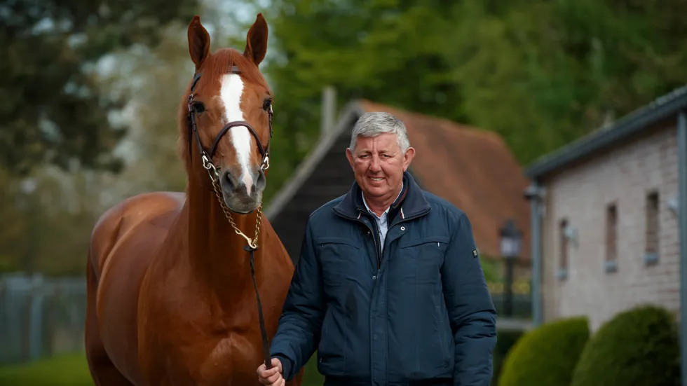 Emerald en Chacco-Blue. Beide hengsten leverden elk zes goedgekeurde zonen