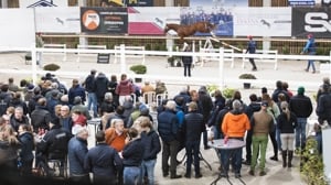 Vrijspringen Jonge Fokkers