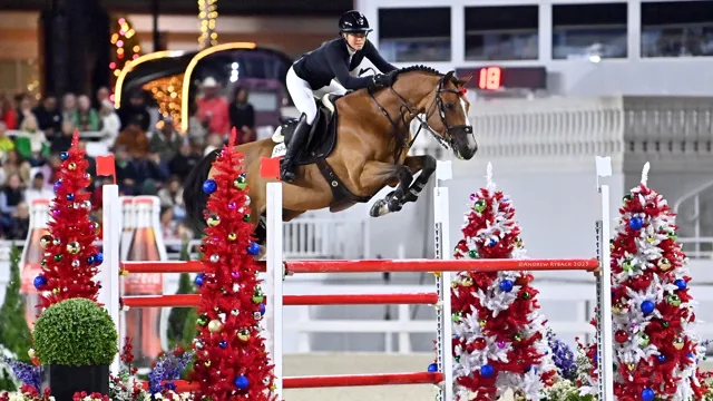 Verdini d'Houtveld Z