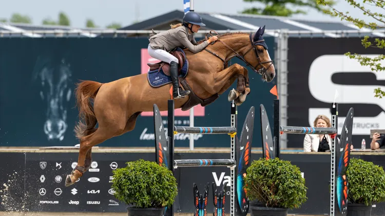 Overwinning voor Vermeir en Sunny Girl van den Eik