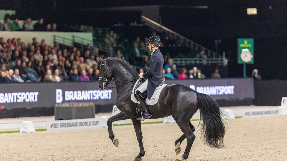 Justin en Zonik Plus zullen aan de start verschijnen in de wereldbekerwedstrijden tijdens The Dutch Masters