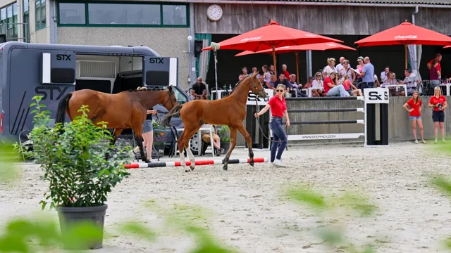 Selectiekans voor het nationaal kampioenschap: mis de Dag van de Fokker niet