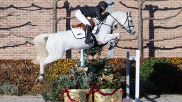 Une collection de chevaux de grande qualité lors de la vente de Noël SLF Horse Auction