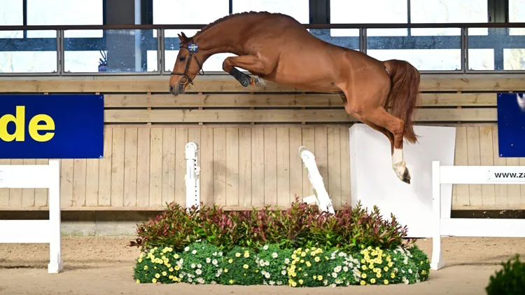 TNT AE Z werd eveneens goedgekeurd