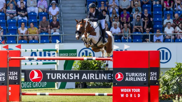 De volle broer of zus van Ping Pong van de Lentamel ging als veilingtopper onder de hamer