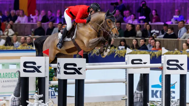 Hemeryck zal de paarden zelf naar Stephex Stables brengen