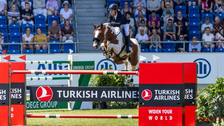 De volle broer of zus van Ping Pong van de Lentamel ging als veilingtopper onder de hamer