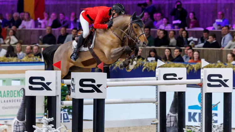 Hemeryck zal de paarden zelf naar Stephex Stables brengen