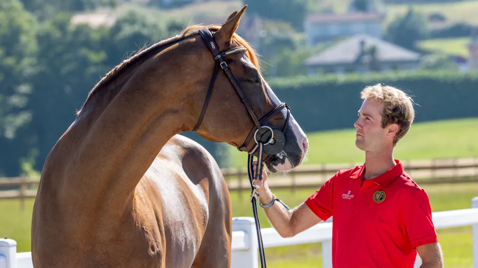 Gilles Thomas opnieuw bij beste vijf ruiters ter wereld
