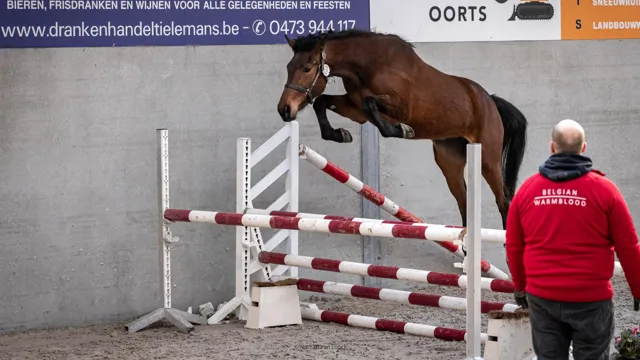 Always Van Strijtem sprong naar een tweede plaats