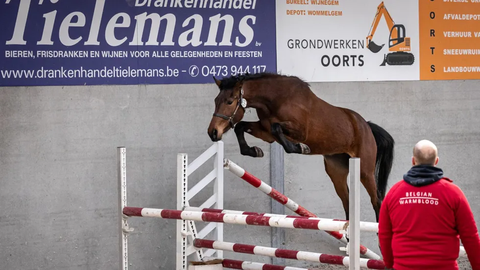 Always Van Strijtem sprong naar een tweede plaats