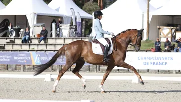 En 2024 puis en 2025, l’exceptionnelle Fürstin Toto LH, née chez Jean-Claude Ferrand, a été sacrée championne de France à la Grande Semaine de dressage sous la selle de Charlotte Chalvignac-Vesin.