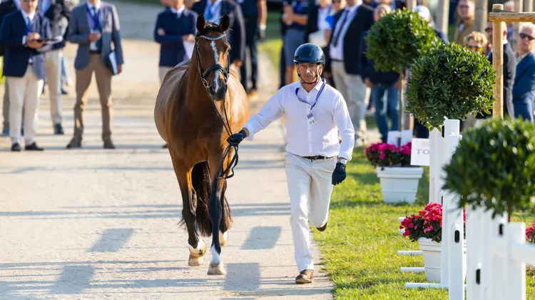 En septembre, le couple formé par Bertrand Liegard et Ginger, dont l’histoire vaut clairement le détour, a représenté la France aux championnats d’Europe de dressage de Crozet.