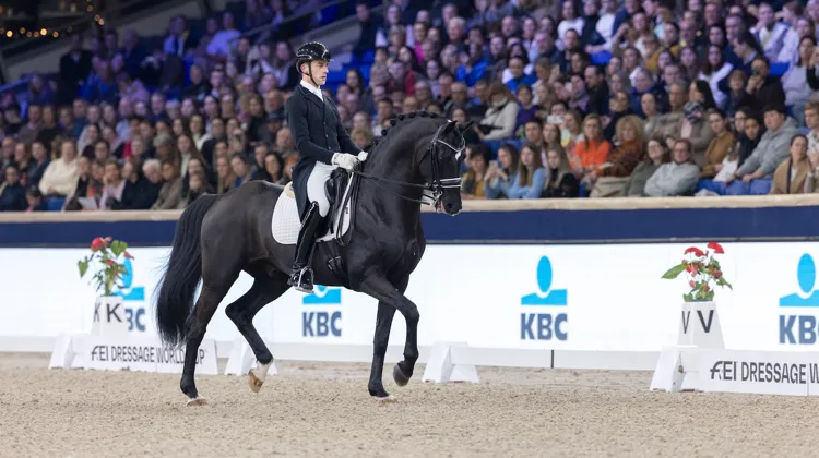 Depuis la Coupe du monde de Malines il y a presqu'un an, Justin Verboomen et Zonik Plus ont amélioré leur score de plus de 7%.