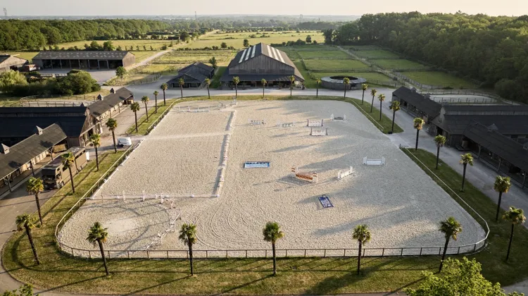 Haras de Hus, acteur incontournable de la reproduction équine en France et à l’international. 