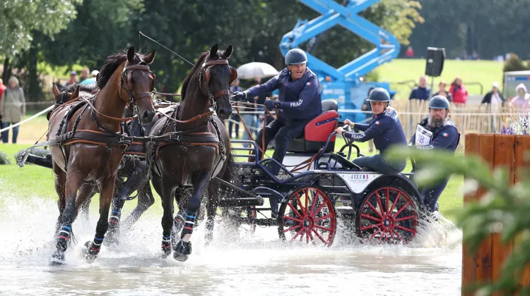 À Aix-la-Chapelle, Franck Grimonprez a participé à son premier grand rendez-vous en attelage à quatre chevaux.
