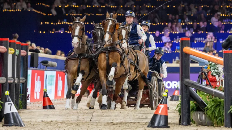Dries Degrieck toonde opnieuw zijn vorm