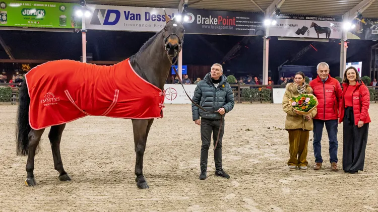 De clinic maakt deel uit van het zaterdagprogramma van de BWP Hengstenkeuring