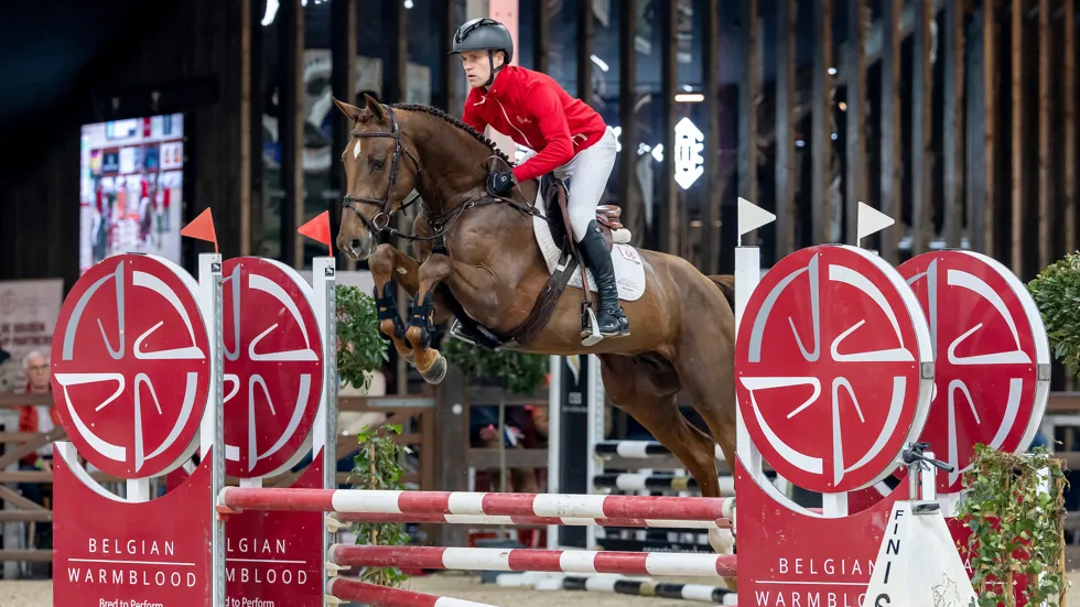 Wodka vd Bisschop werd vorig jaar kampioen van de keuring