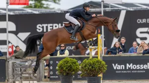 Sterke dag voor Jonas Van Dijck op nationale Silver League-wedstrijd