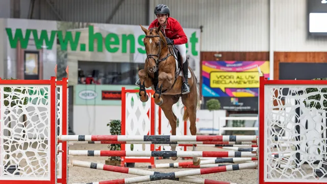 Wodka vd Bisschop werd vorig jaar uitgeroepen tot kampioen van de BWP keuring