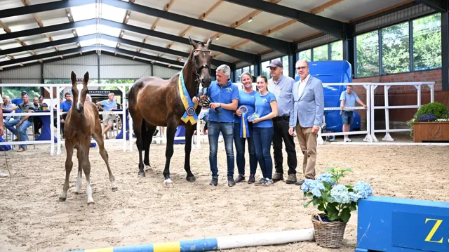 Dreamcatcher GP Z, een dochter van Devil 2000 Z won de reeks voor merrieveulens