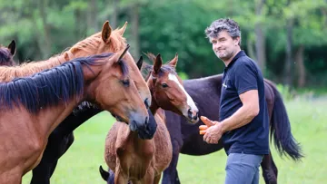 Fondateur de l’élevage de Toxandria, Werner Dierckx a compté deux de ses produits aux championnats d’Europe de jumping de La Corogne, cet été.