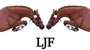 Aftellen naar de zesde editie van het Loose Jumping Festival