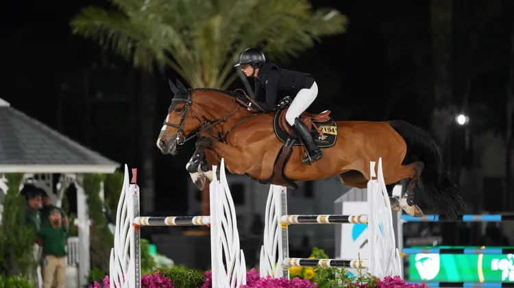 La Nordiste Nina Mallevaey a gagné un rang au classement mondial ce mois-ci.