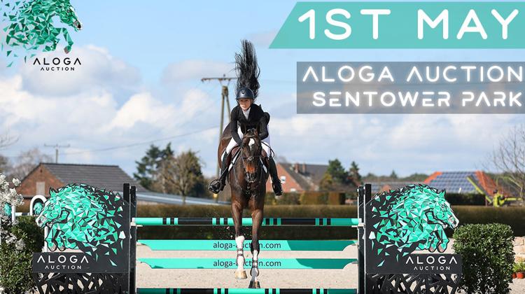 Aloga Auction : enchère physique et en ligne le 1er mai à Sentower Park, en Belgique