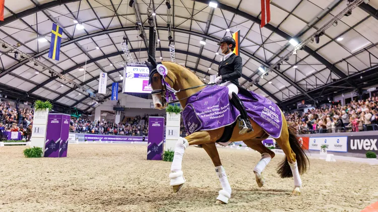 Goud en zilver voor de Belgen