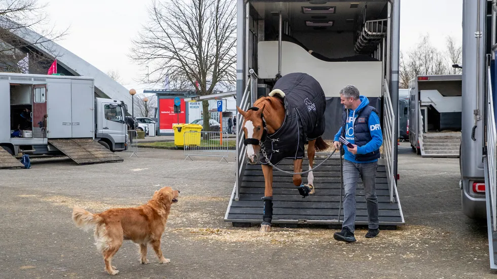 Aftellen naar een nieuwe internationale week