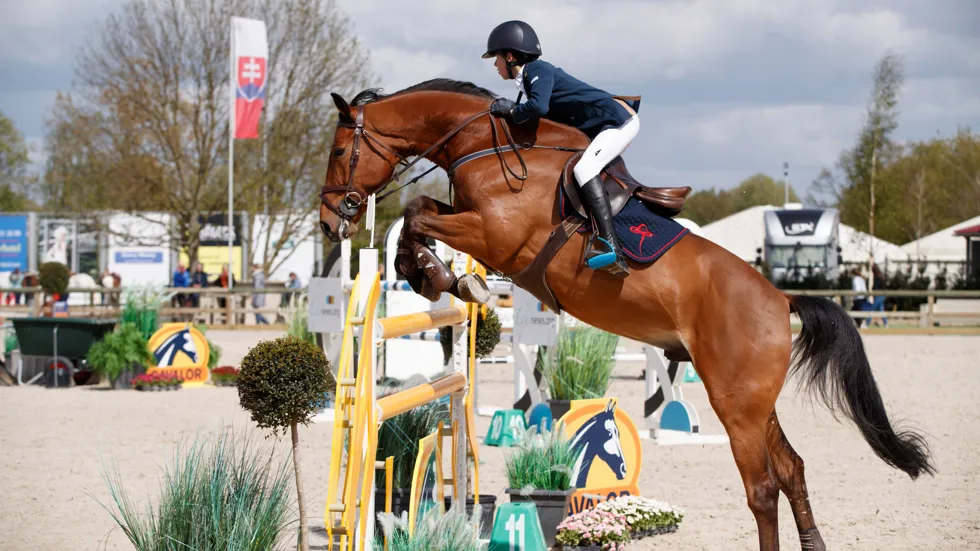 Rombouts triomfeert in 1m40-reeks