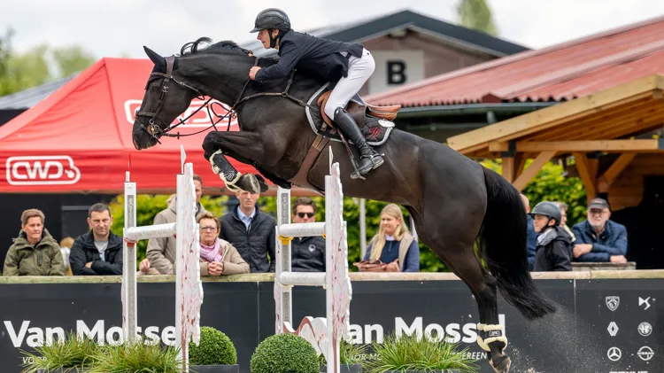 Jef Peeters sprong op vrijdag ook al dubbel nul in de Nations Cup