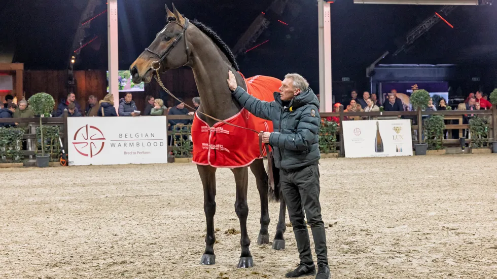 Dirk Demeersman en Cote d'Or Z tijdens hun huldiging tot BWP Elite hengst begin dit jaar